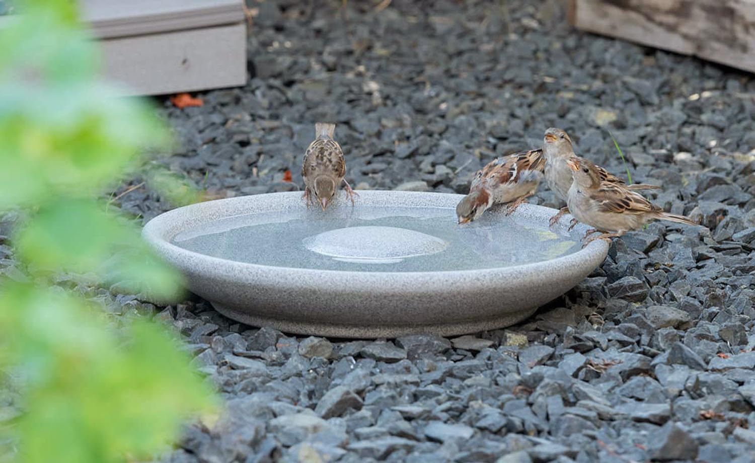 VOGELTRÄNKE GRANICIUM®