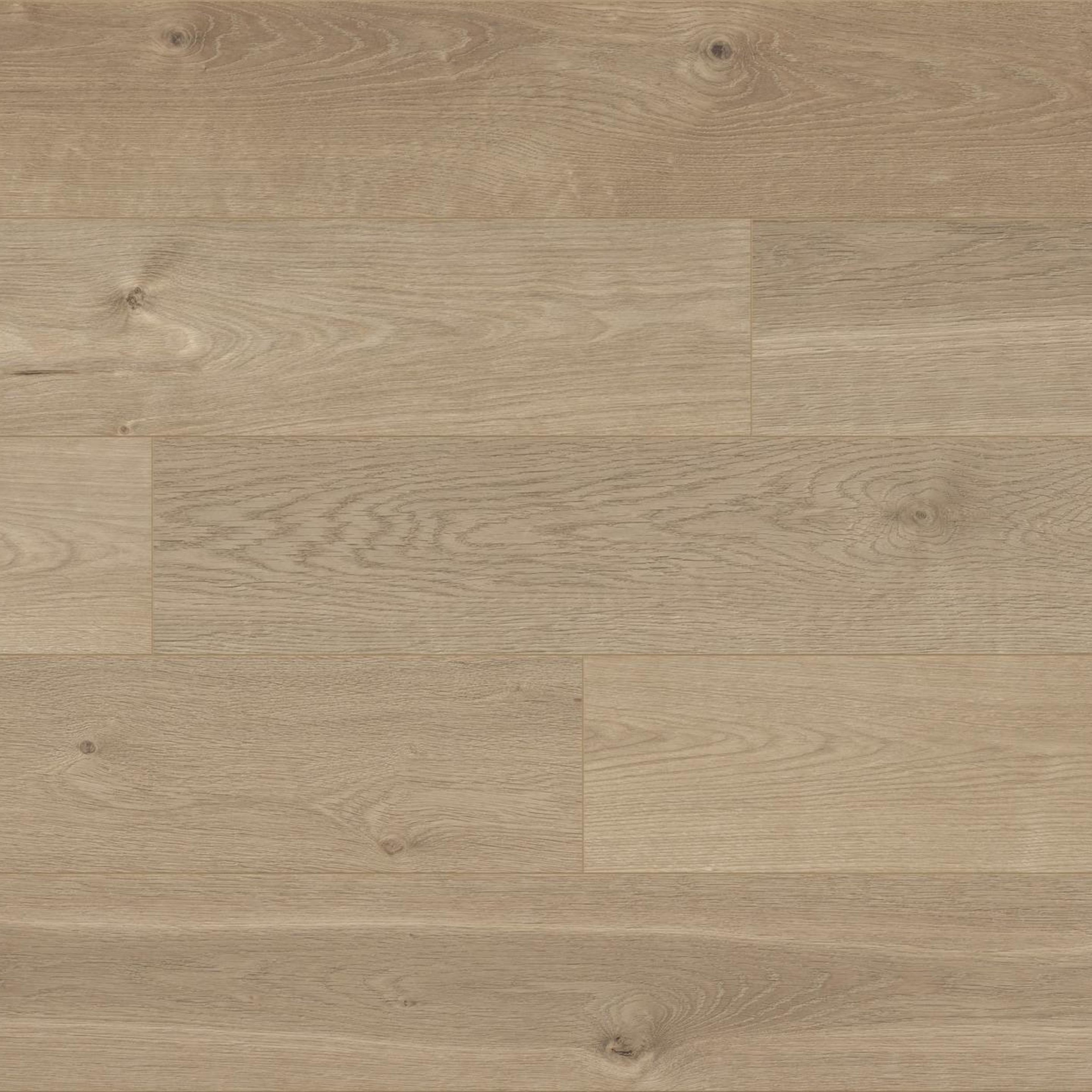  KAINDL SOLID PRO SPC 5.0 Kompaktdiele Eiche I Oak ANCONA
