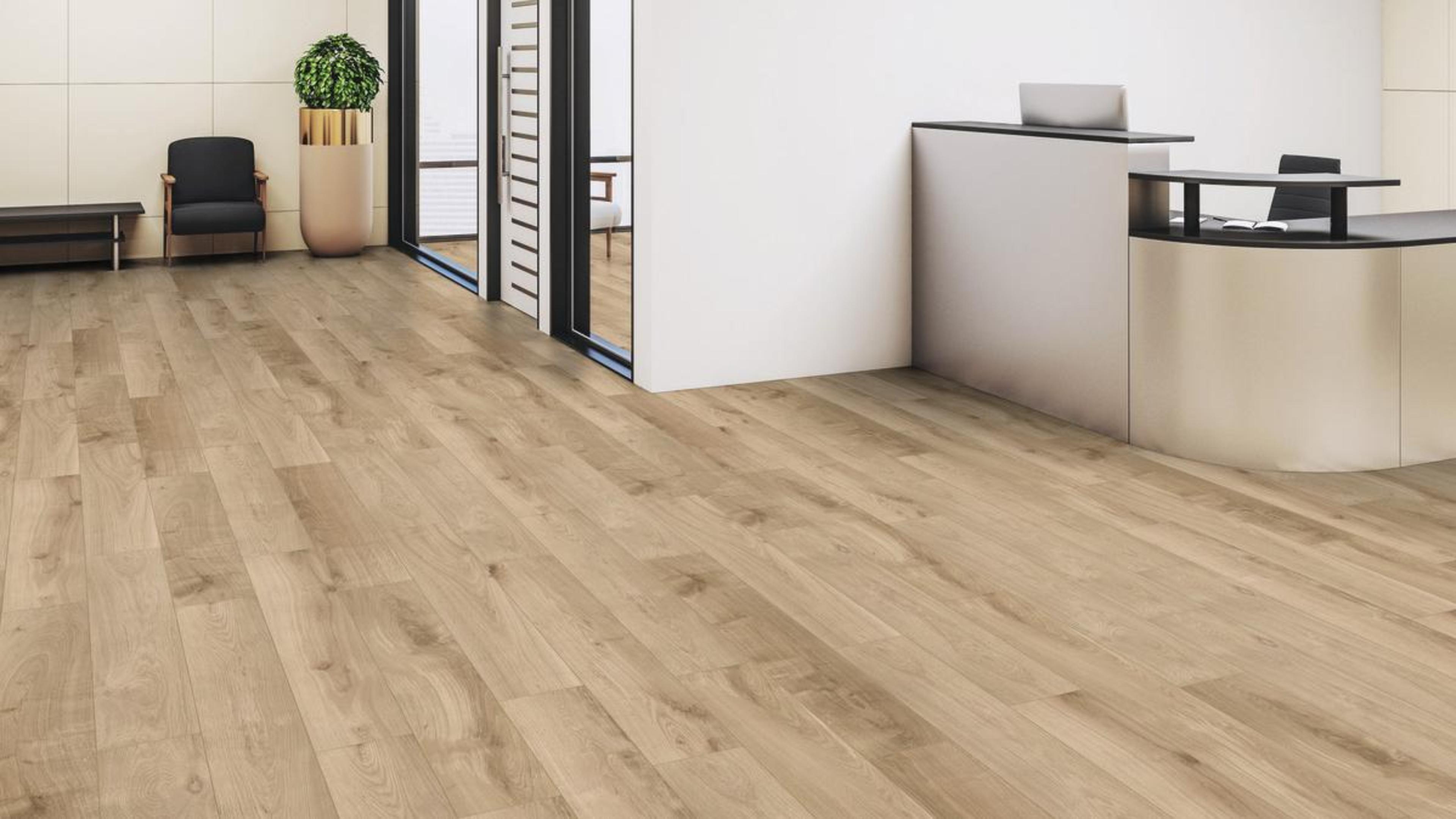  KAINDL SOLID PRO SPC 5.0 Kompaktdiele Eiche I Oak LUCCA